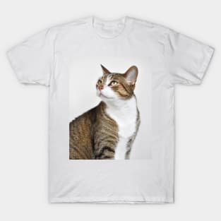 Toby T-Shirt